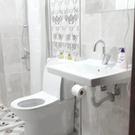 Hotell Hayat Alti *